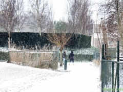 Hillegom-in-sneeuw101