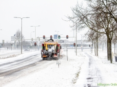 Hillegom-in-sneeuw106