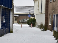 Hillegom-in-sneeuw113