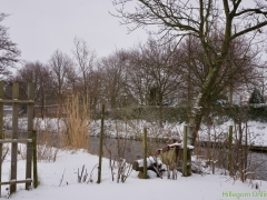 Hillegom-in-sneeuw124