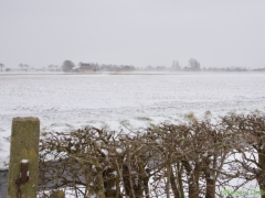 Hillegom-in-sneeuw126