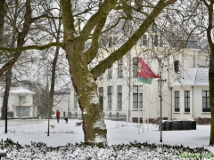 Hillegom-in-sneeuw135