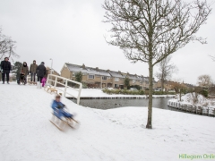 Hillegom-in-sneeuw155