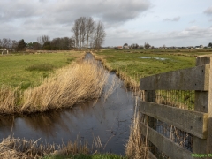 IKpictures-2022-Vossepolder-001