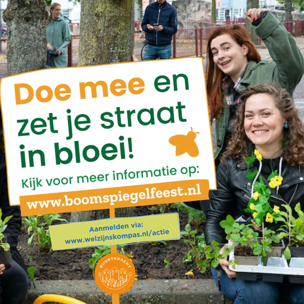 Nationaal Boomspiegelfeest Samen De Buurt Vergroenen Hillegom Online