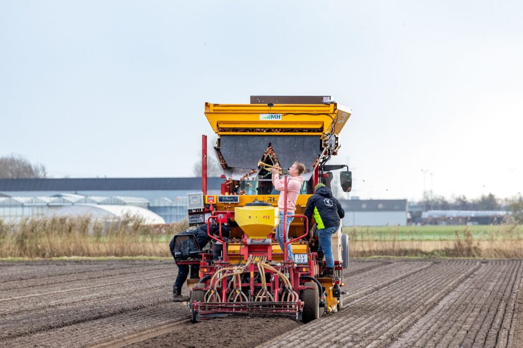 Vier de Lente Festival